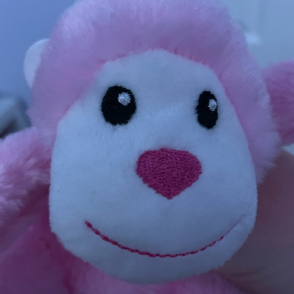 Two stuffed animals - Picture 6 of 7
